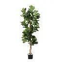 idropship01 - 2024-12-17T185429.927.webp