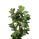 idropship04 - 2024-12-17T185439.406.webp