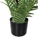idropship05 - 2024-12-17T185711.046.webp