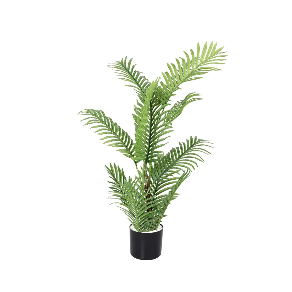 idropship01 - 2024-12-17T185658.691.webp