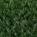 V274-PET-HH202-PET-HH202-02.webp