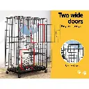 PET-RAB-CAGE-GV1907-05.webp