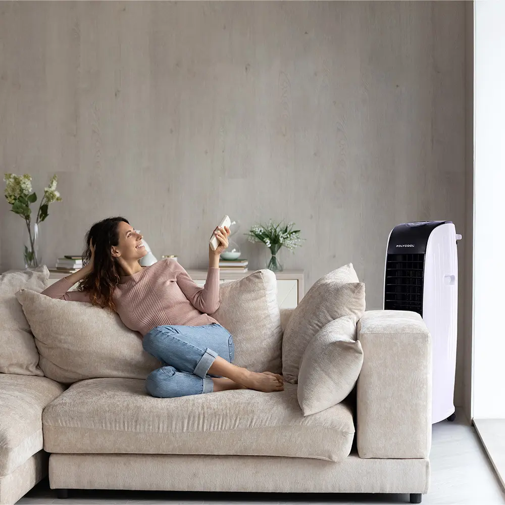 V219-COLECLPYD4KA-73845-01.webp
