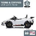 car-lam-wh_10_1.webp