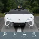 car-lam-wh_4_1.webp