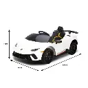 car-lam-wh_11_1.webp