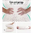 PILLOW-LT-SHED-X2-03.webp