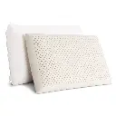 PILLOW-LT-SHED-X2-00.webp