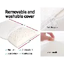 PILLOW-LT-SHED-X2-01.webp