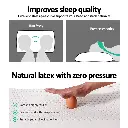 PILLOW-LT-SHED-X2-05.webp