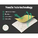 PILLOW-LT-SHED-X2-04.webp