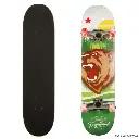 bs-171336-sk_2_2.webp