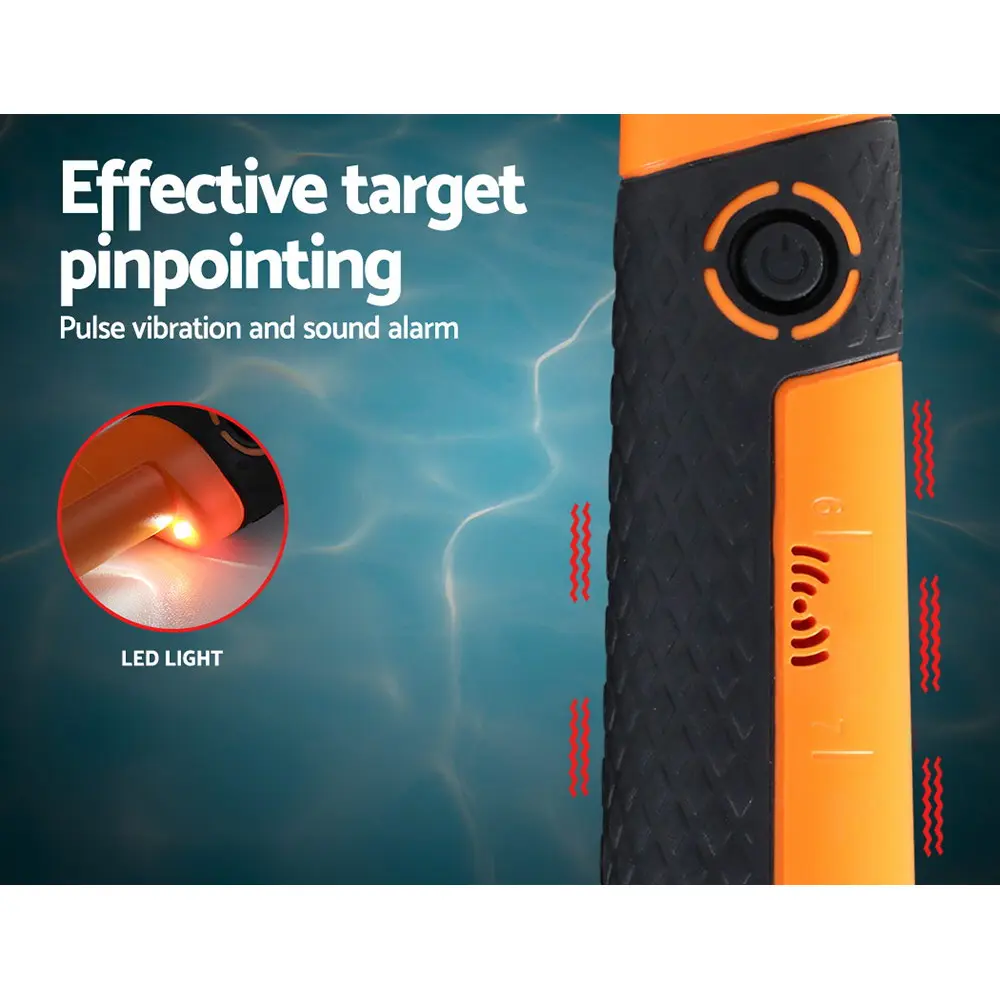 MDETECTOR-C-GC2006-03.webp