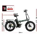 EBIKE-C-20FD-HCS-GN-150683-01.webp