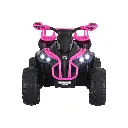 RCAR-MBIKE-ATV-L-PK-183795-02.webp