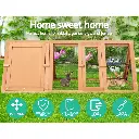PET-GT-CAGE-R005-2958-03.webp