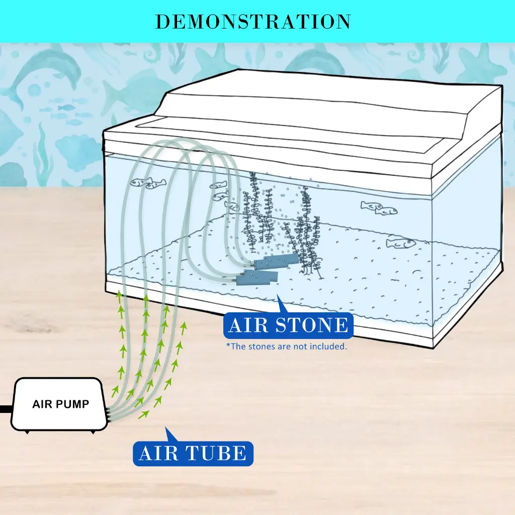 V274-AQ-AP13-AQ-AP13-10.webp