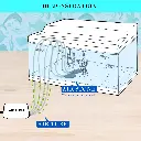 V274-AQ-AP13-AQ-AP13-10.webp