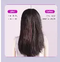 V888-ELOSUNG11241-208658-04.webp