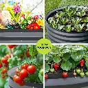 GARDEN-AG-ROU-8068-150661-06.webp