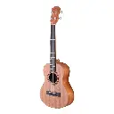 UKULE-D-23-NAT-17065-02.webp
