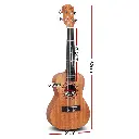 UKULE-D-23-NAT-17065-01.webp
