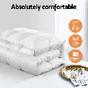 QUILT-GOOSE-700-K-202502281412-01.webp