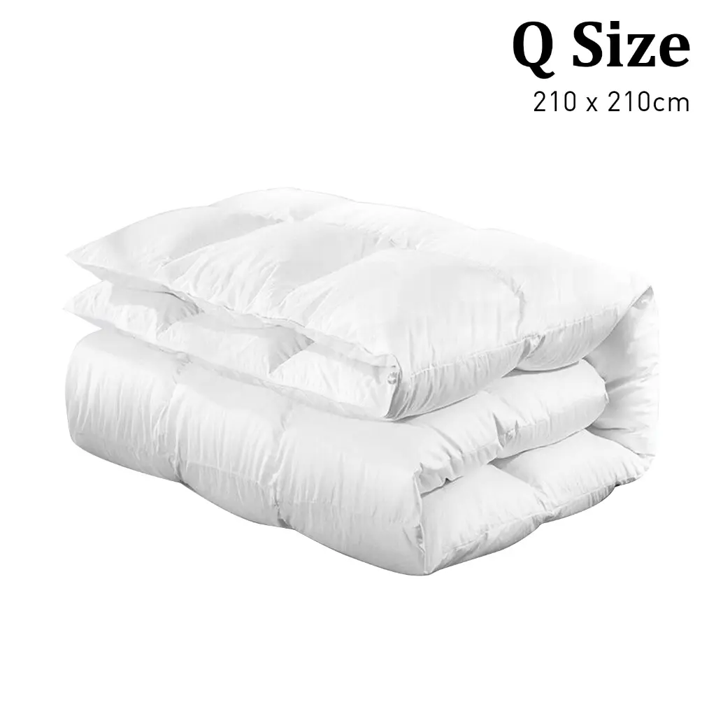 V240-QLT-DDF-500-QN-73409-02.webp