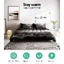 QUILT-FM-CHAR-D-02.webp