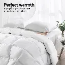 QUILT-GOOSE-700-Q-202502281412-02.webp