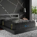 Lifestyle - 2025-03-14T145913.892.webp
