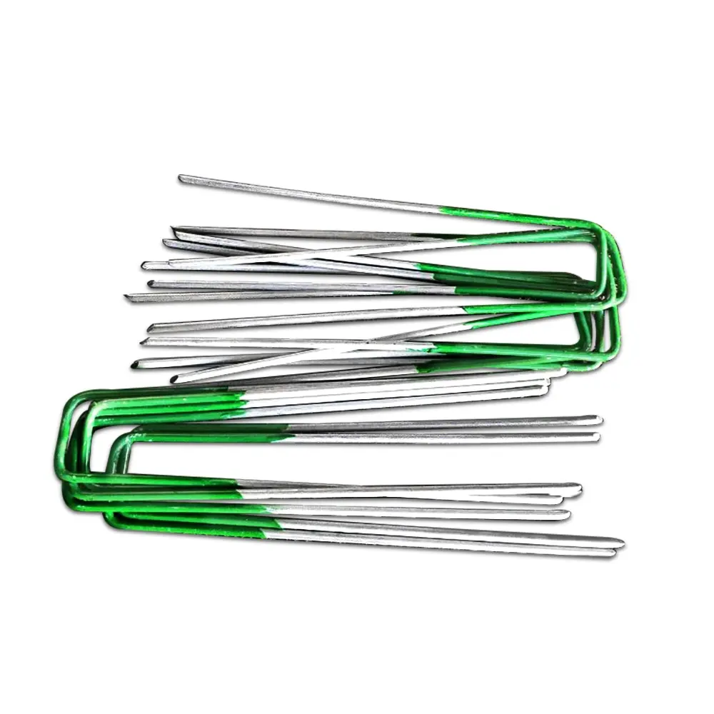 AR-GRASS-PINS-200-202502282028-03.webp