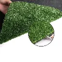 AR-GRASS-15-110M-OL-202502282024-06.webp