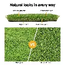 AR-GRASS-30-205M-4C-202502282026-03.webp