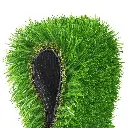 AR-GRASS-30-205M-4C-202502282026-06.webp