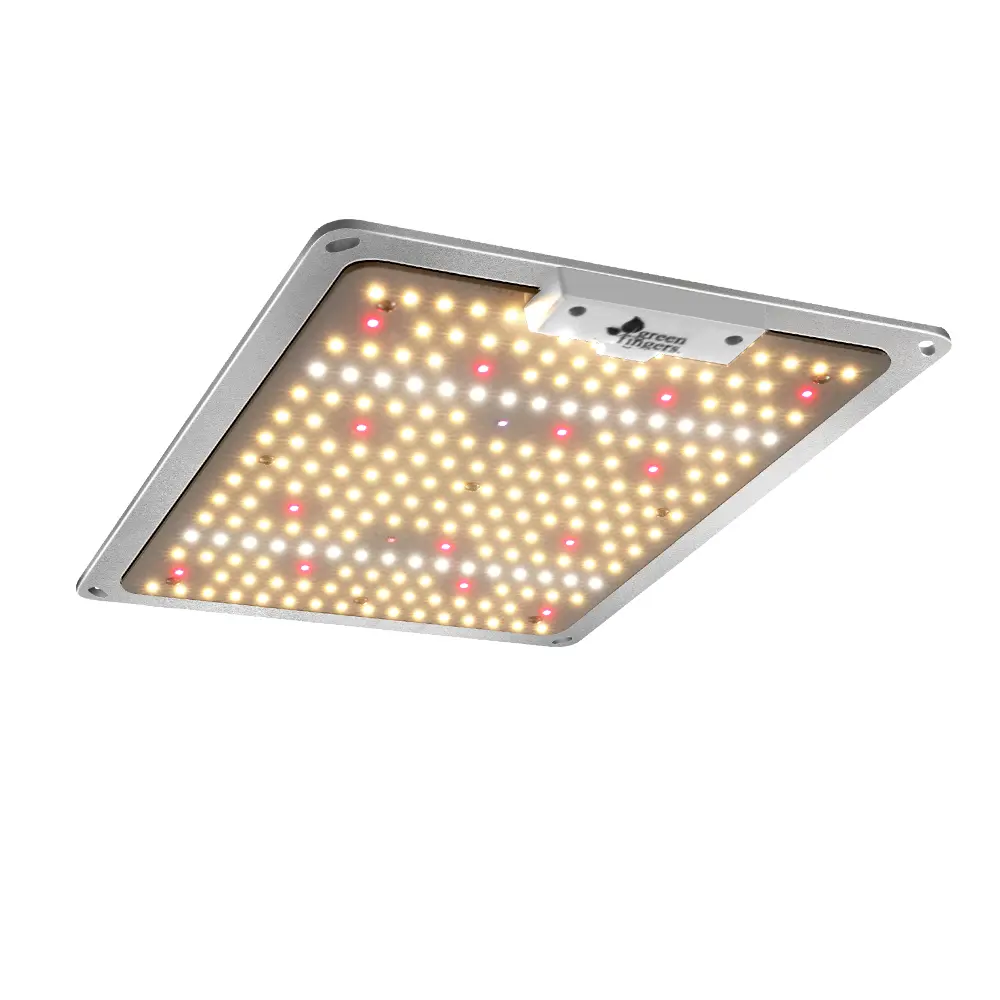 GL-BOARD-100-NDIM-35704-00.webp