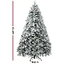XM-TR-WELL-6F-GS-202509291600-01.webp
