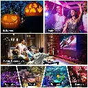 V915-MB0048X2-203575-04.webp