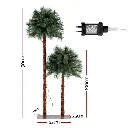 XM-TR-PALM-5FT-LED-202509291539-01.webp