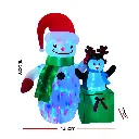 XMAS-INF-SNO-PLIGHT-6FT-01.webp