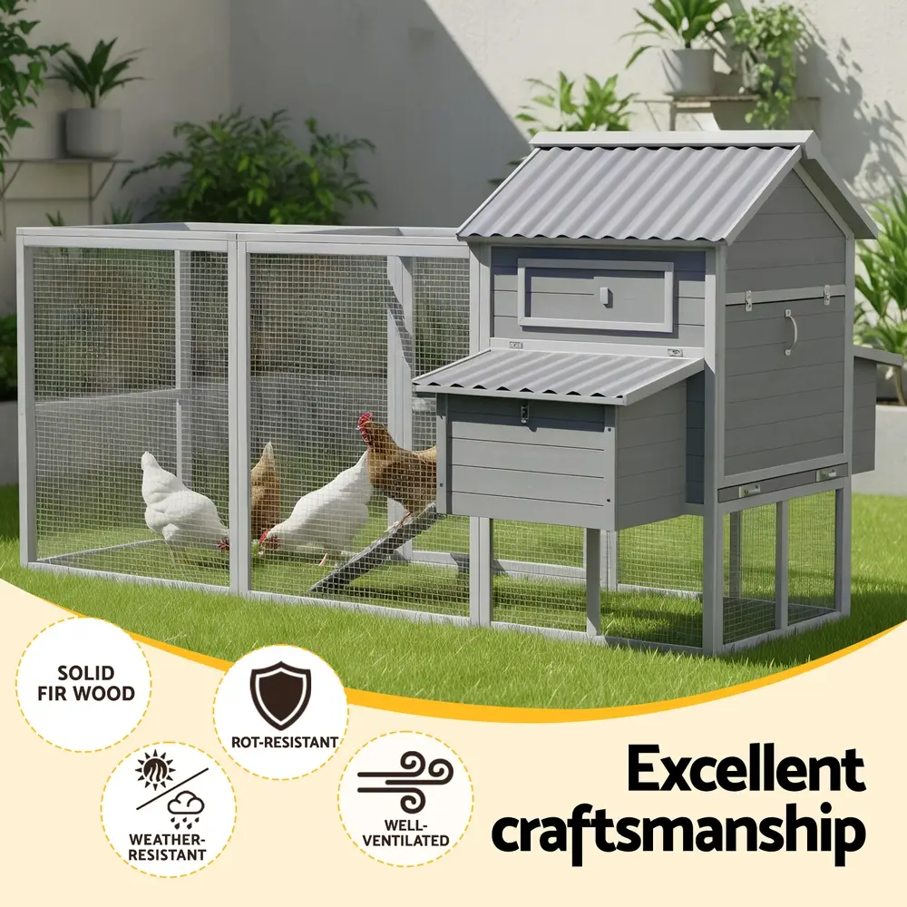 PET-CH-P228-GR-AB-202509161310-03.webp