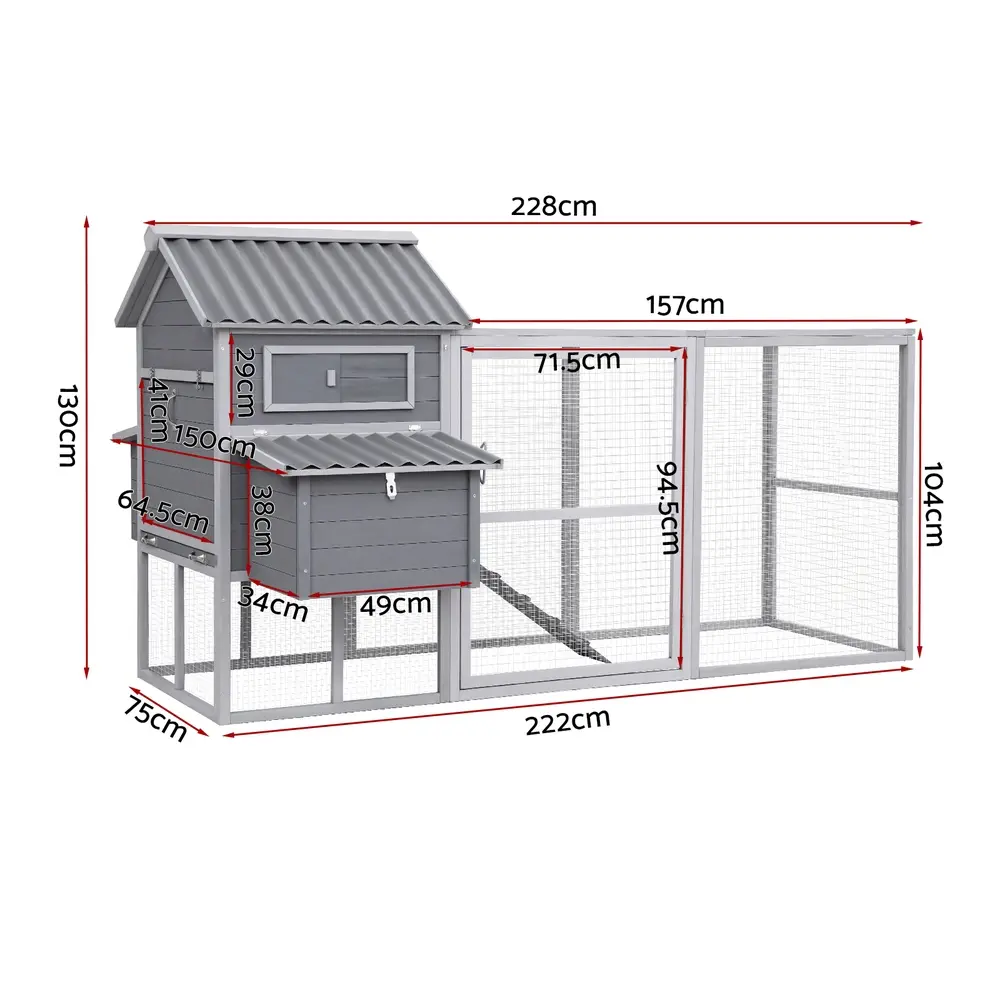 PET-CH-P228-GR-AB-202509161310-01.webp