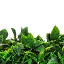 V637-DP1020095-202511131115-03.webp