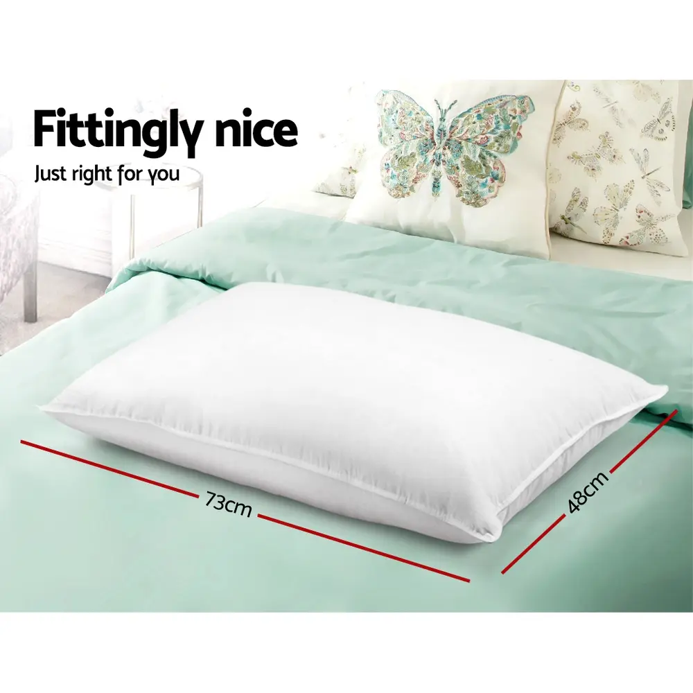 PILLOW-MICRO-2M2F-202502281438-01.webp