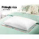 PILLOW-MICRO-2M2F-202502281438-01.webp