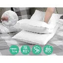 PILLOW-MICRO-2M2F-202502281438-02.webp