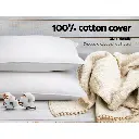 PILLOW-MICRO-2M2F-202502281438-05.webp