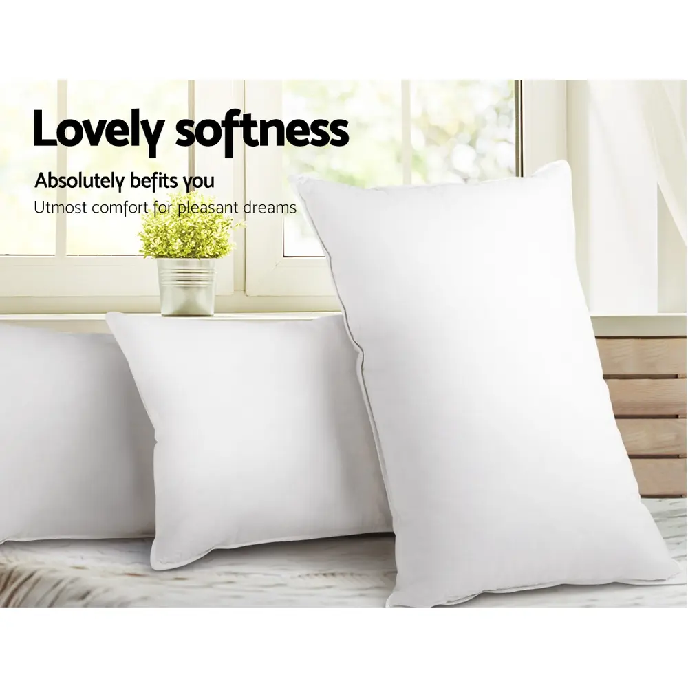 PILLOW-MICRO-2M2F-202502281438-04.webp