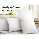 PILLOW-MICRO-2M2F-202502281438-04.webp