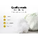 PILLOW-BAM-2M2F-87778-04.webp